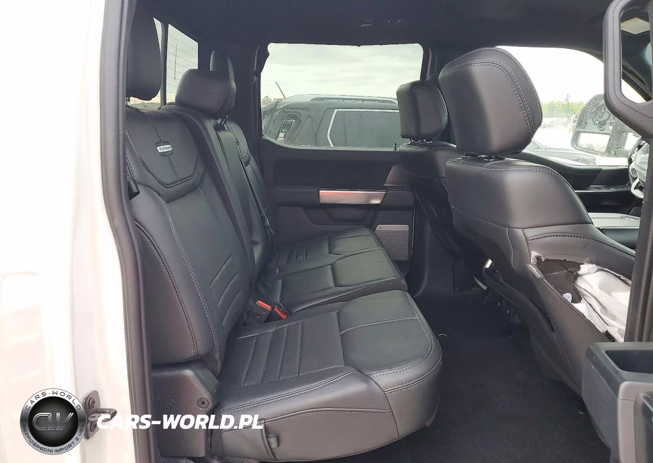 2025 Ford F-150 Platinum VIN:1FTFW7L88SFA23626 - 10