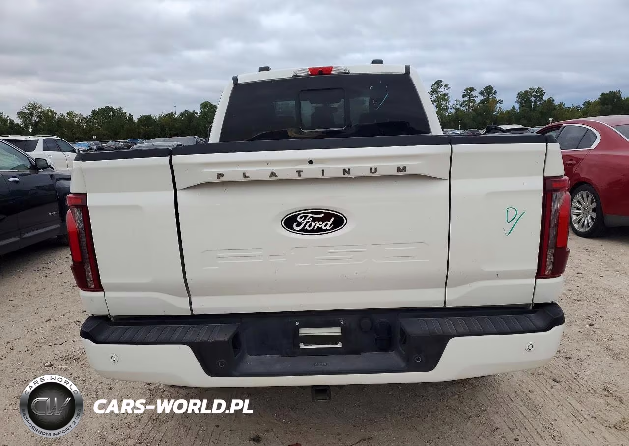 2025 Ford F-150 Platinum VIN:1FTFW7L88SFA23626 - 6