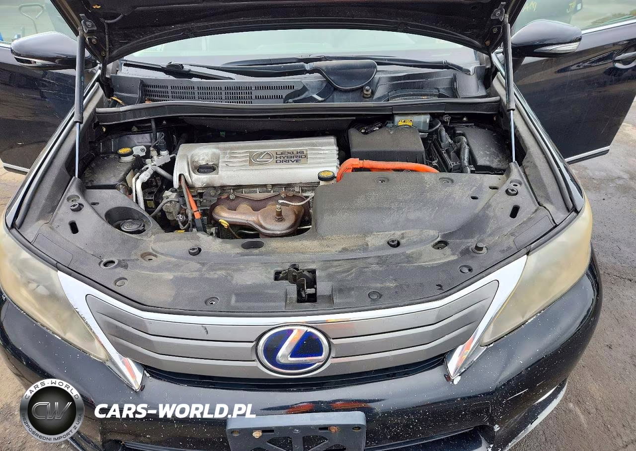 2010 Lexus Hs 250H VIN:JTHBB1BA0A2017870 - 11