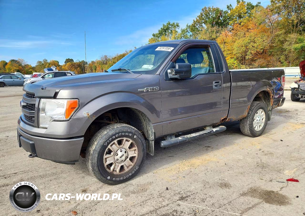 2013 Ford F150 VIN:1FTMF1EM7DKD44193 - 1