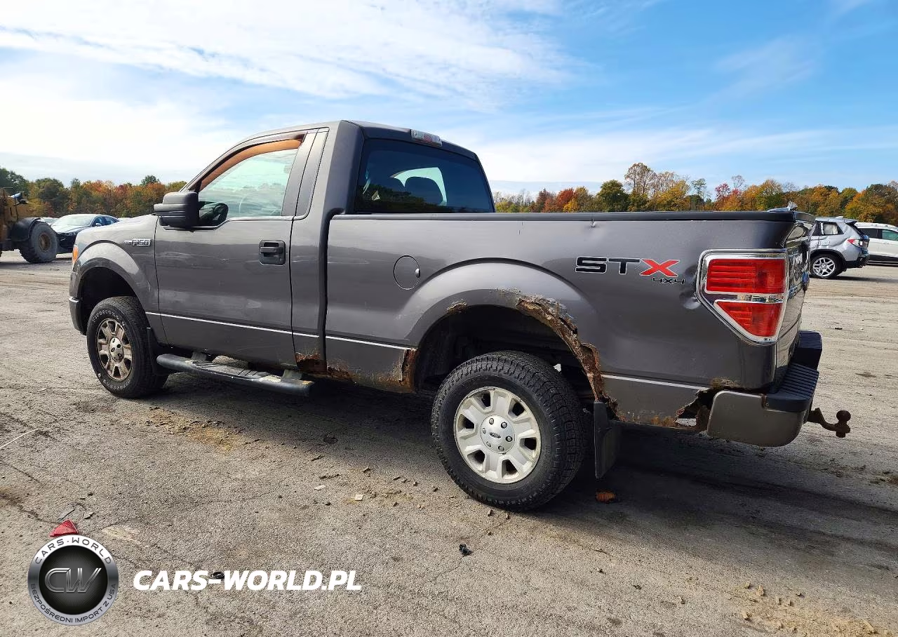 2013 Ford F150 VIN:1FTMF1EM7DKD44193 - 2