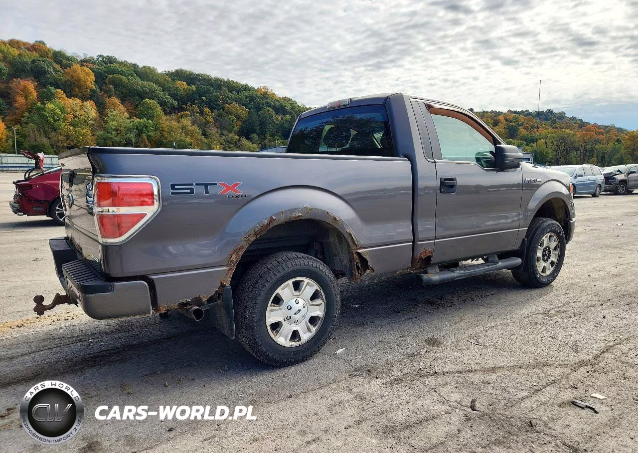 2013 Ford F150 VIN:1FTMF1EM7DKD44193 - 3