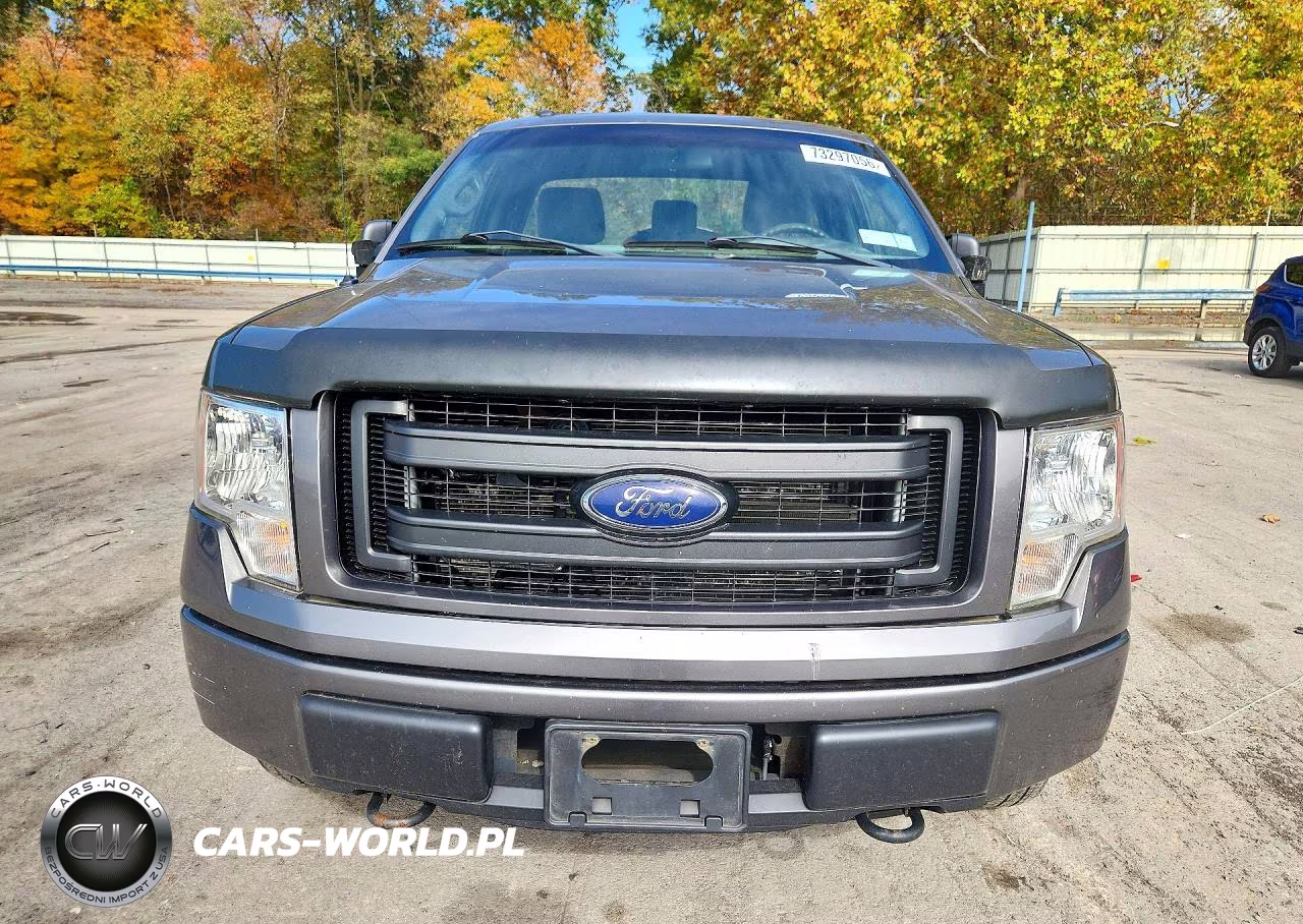 2013 Ford F150 VIN:1FTMF1EM7DKD44193 - 5