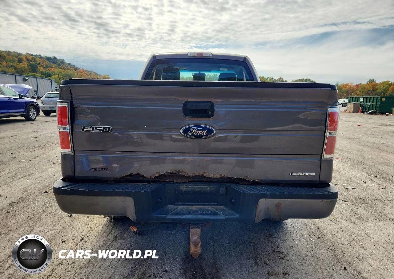 2013 Ford F150 VIN:1FTMF1EM7DKD44193 - 6