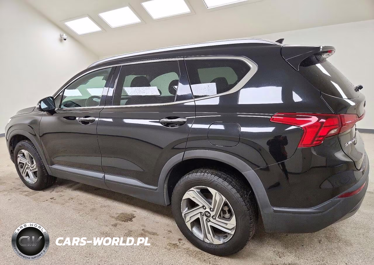 2023 Hyundai Santa Fe Sel VIN:5NMS2DAJ2PH513102 - 2