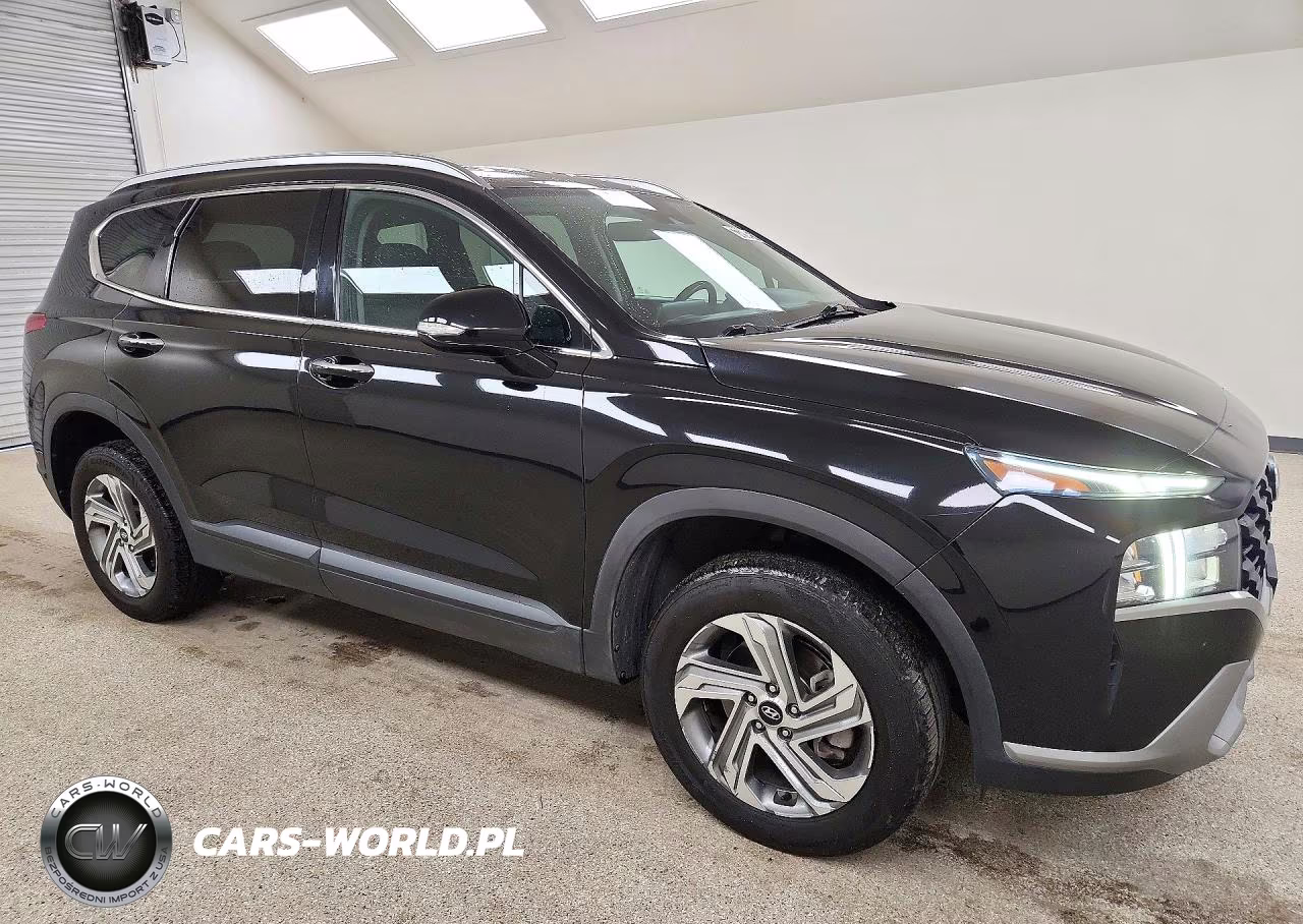 2023 Hyundai Santa Fe Sel VIN:5NMS2DAJ2PH513102 - 4