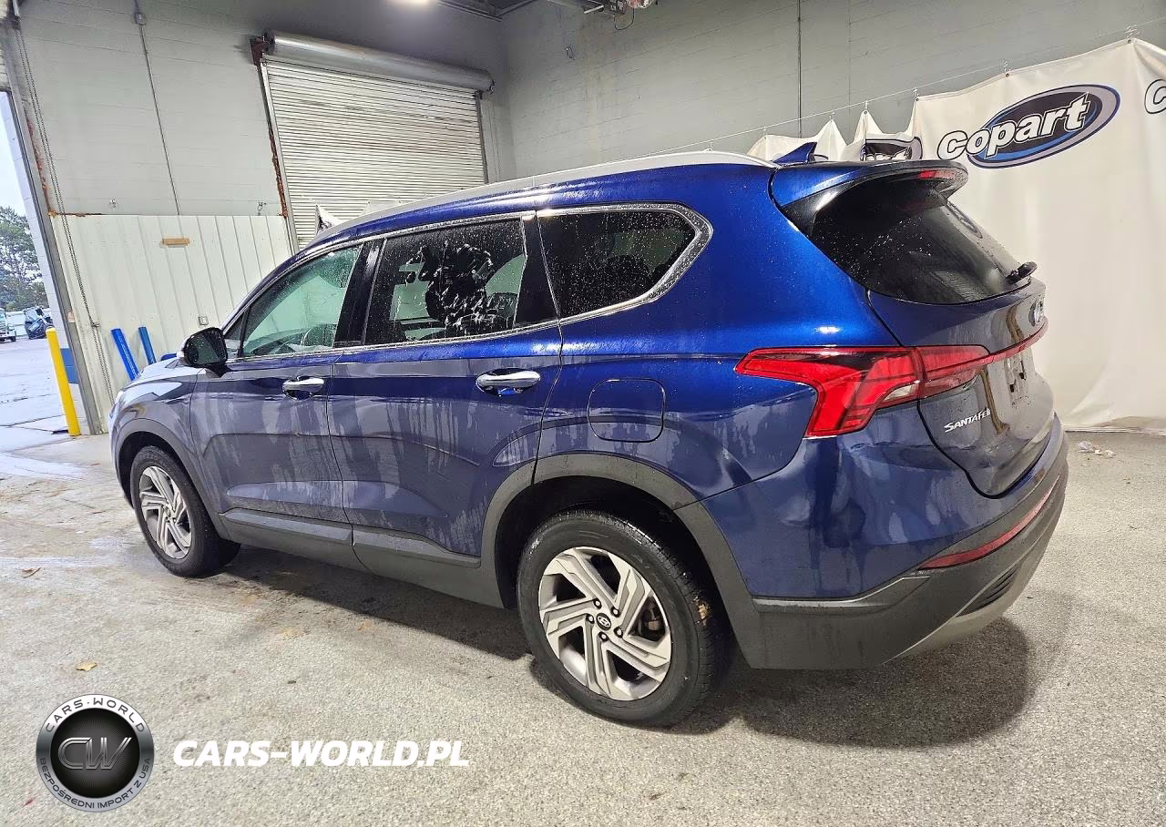 2023 Hyundai Santa Fe Sel VIN:5NMS24AJ0PH528052 - 2