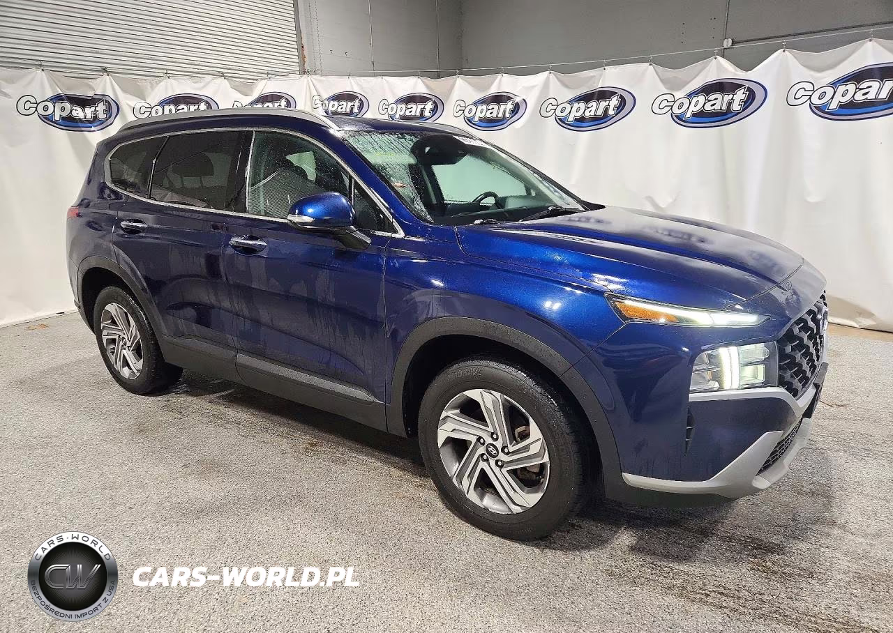2023 Hyundai Santa Fe Sel VIN:5NMS24AJ0PH528052 - 4