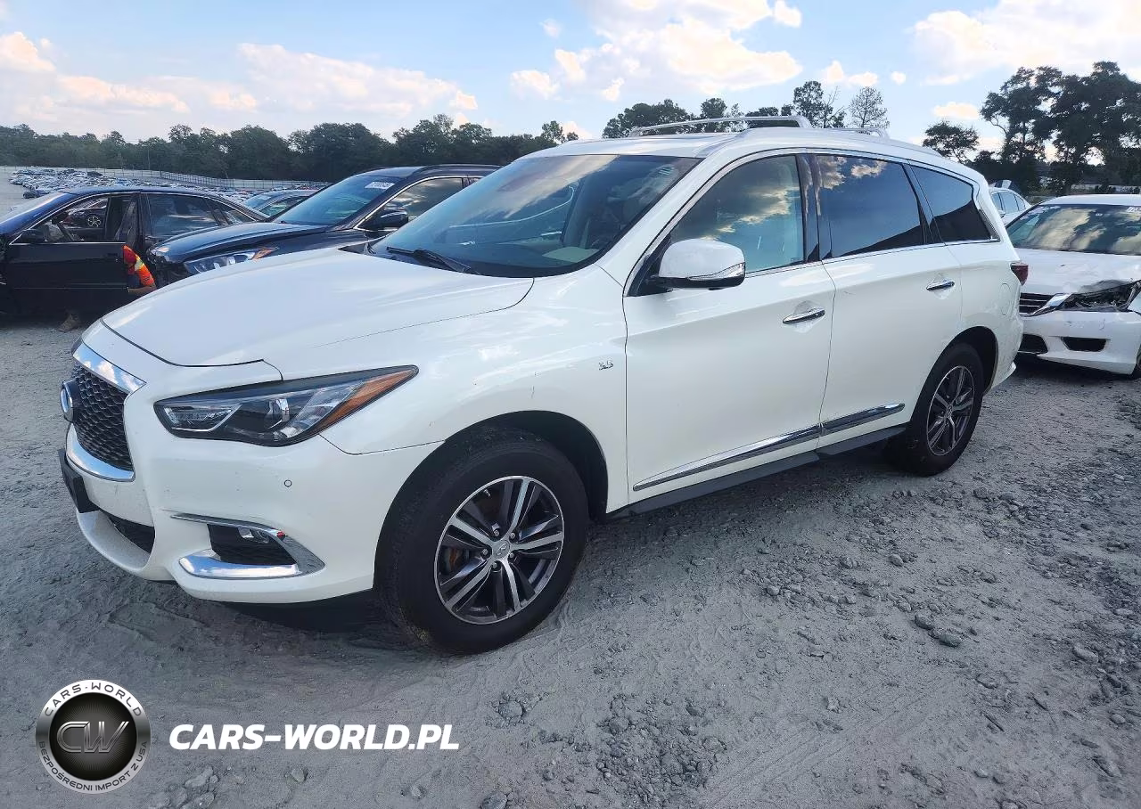 2019 Infiniti Qx60 VIN:5N1DL0MM5KC520231 - 1