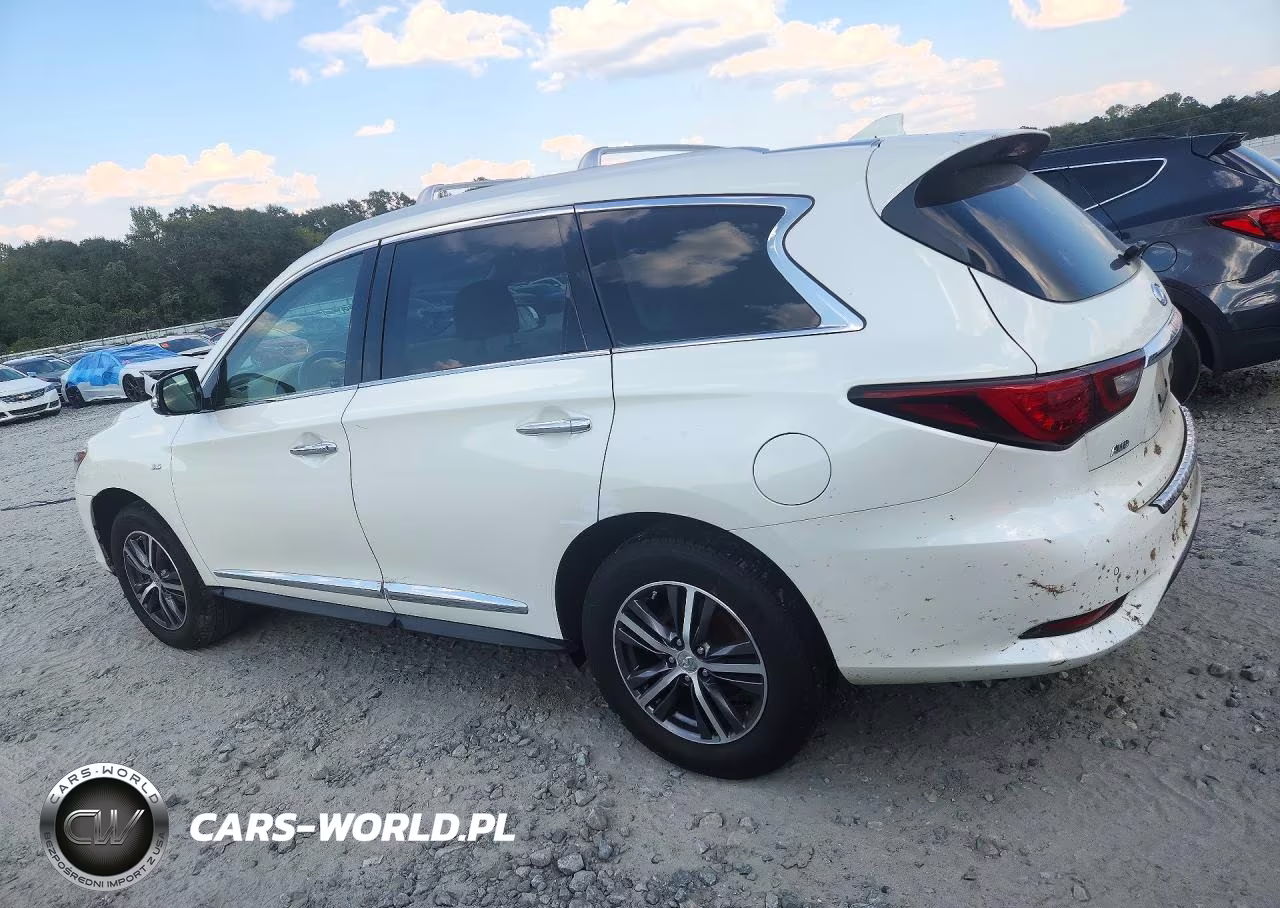 2019 Infiniti Qx60 VIN:5N1DL0MM5KC520231 - 2