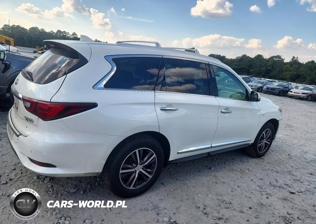 2019 Infiniti Qx60 VIN:5N1DL0MM5KC520231 - 3