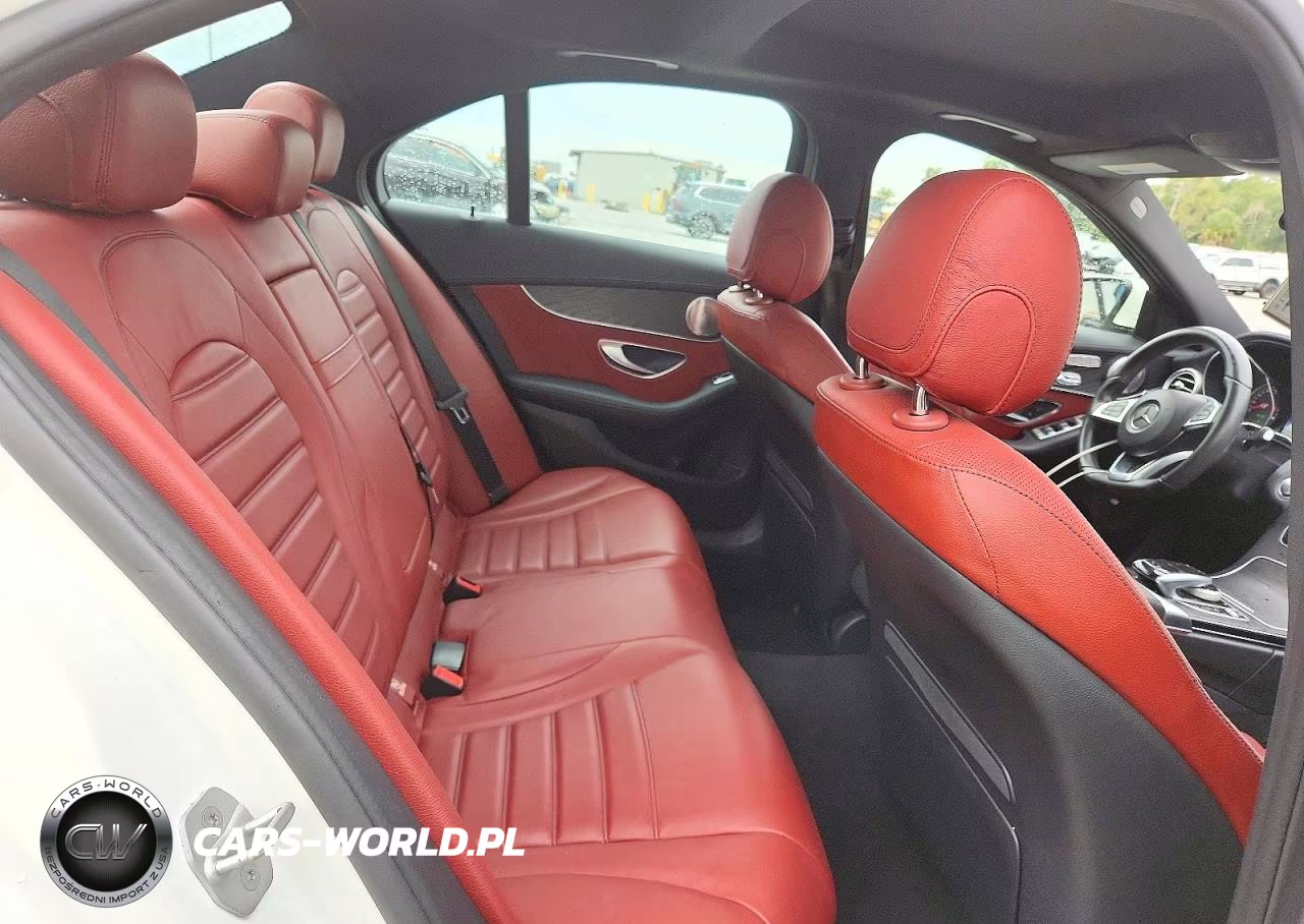 2016 Mercedes-Benz C 300 VIN:55SWF4JB5GU146906 - 10