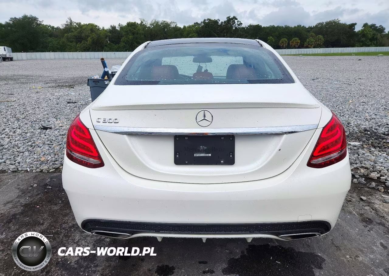 2016 Mercedes-Benz C 300 VIN:55SWF4JB5GU146906 - 6
