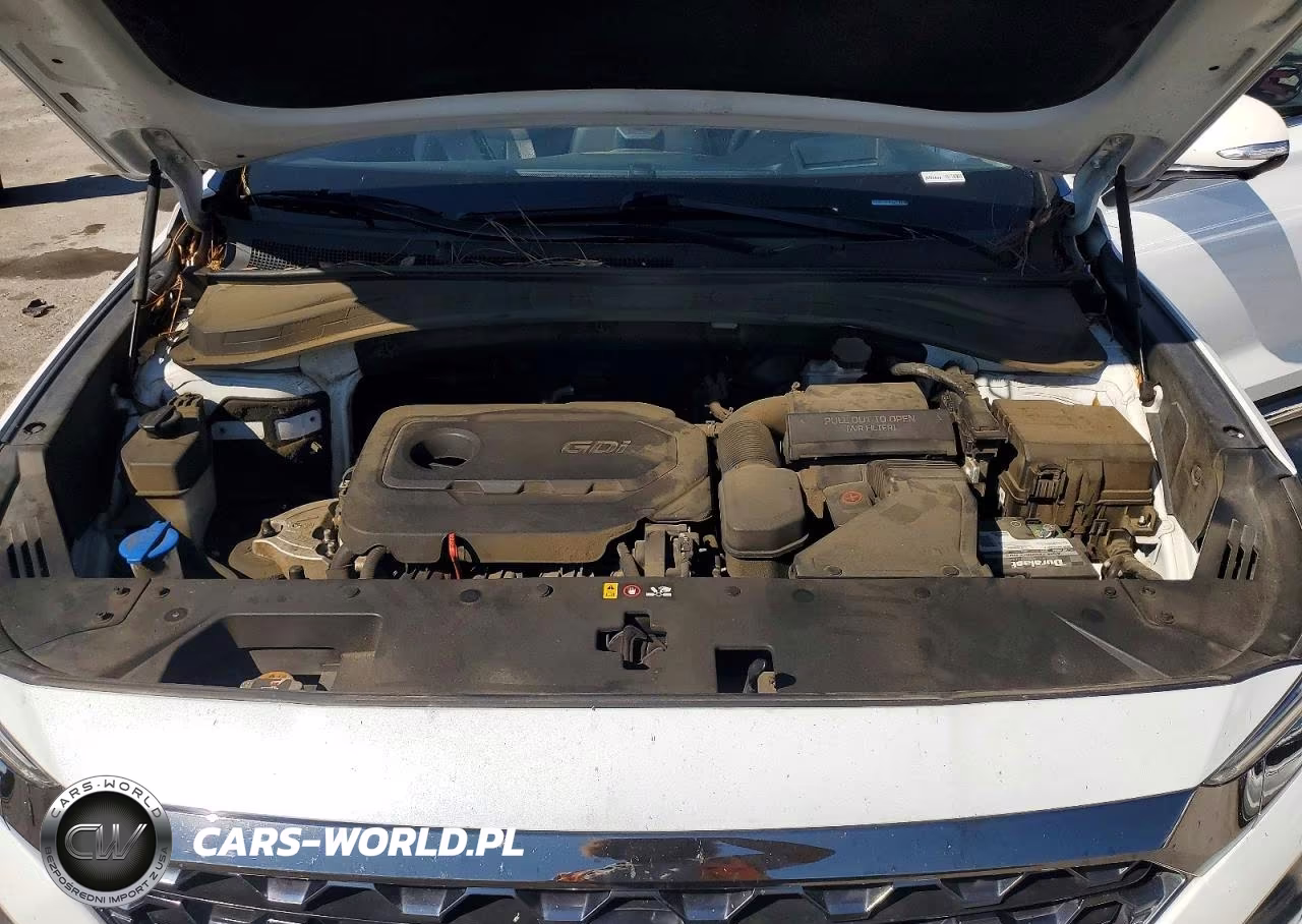 2020 Hyundai Santa Fe Limited VIN:5NMS53AD2LH202078 - 12