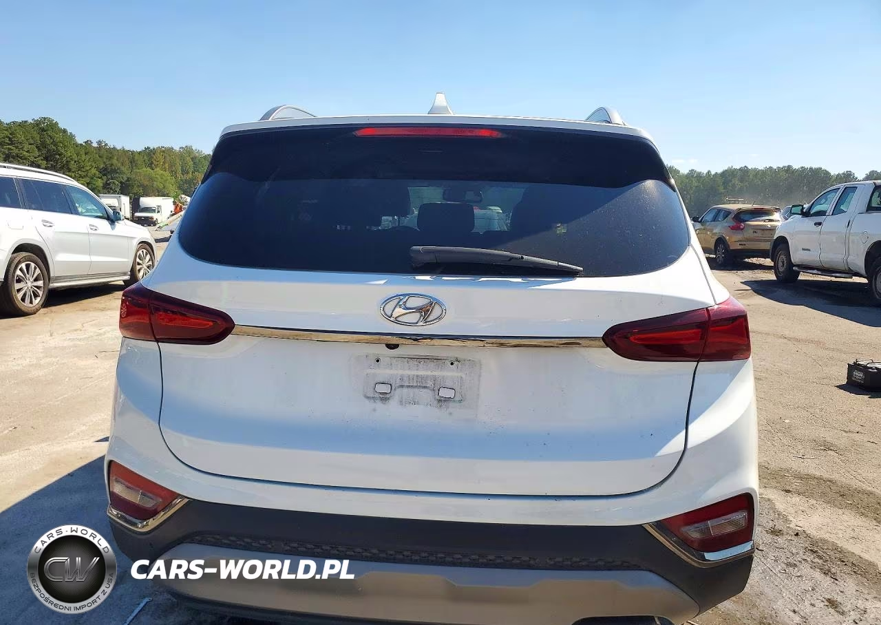 2020 Hyundai Santa Fe Limited VIN:5NMS53AD2LH202078 - 6
