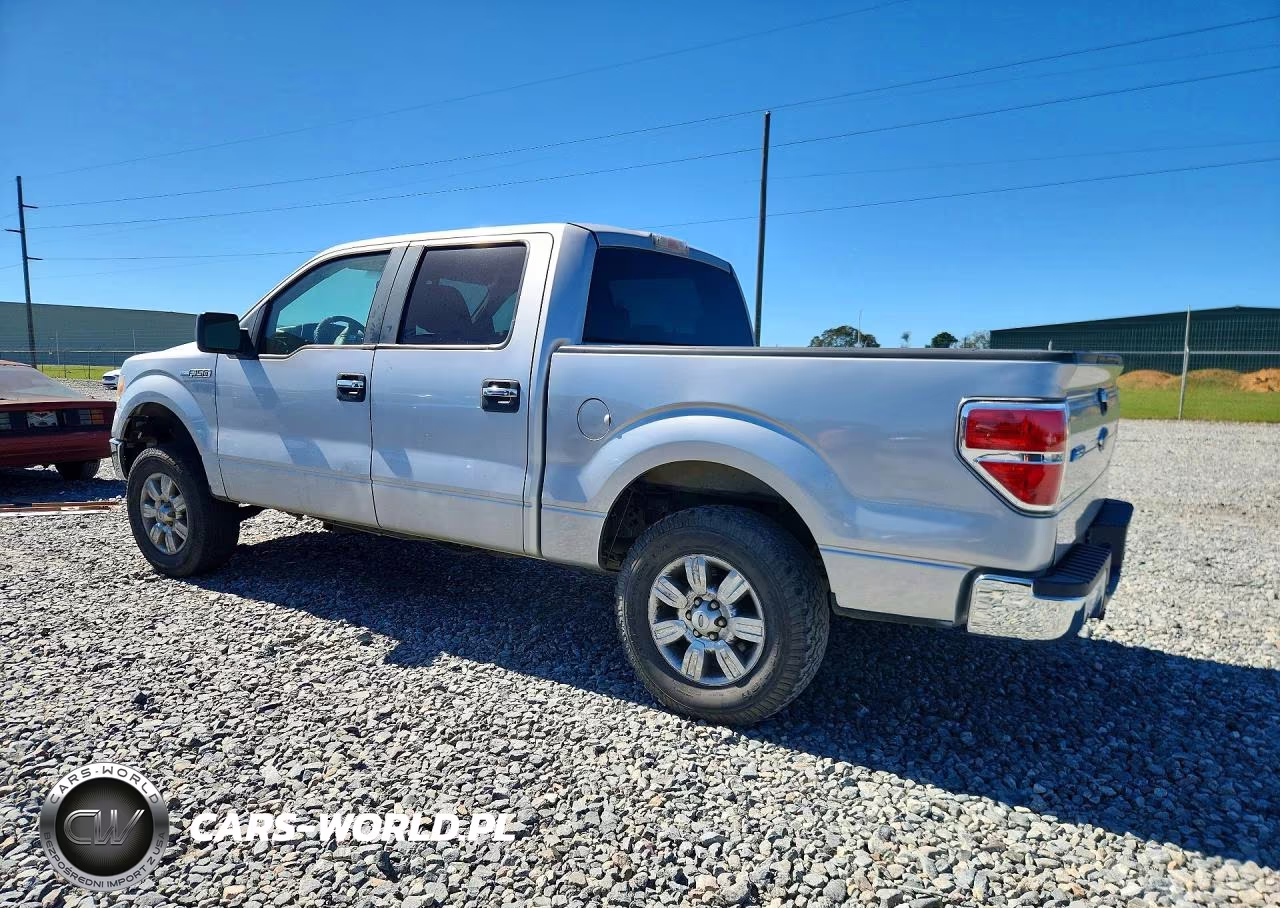 2009 Ford F150 Supercrew VIN:1FTPW14V49KC62548 - 2