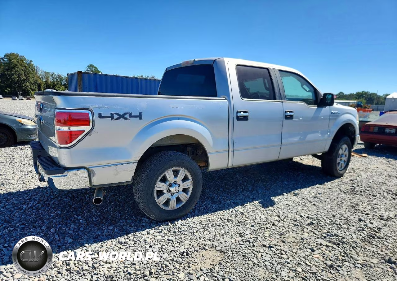 2009 Ford F150 Supercrew VIN:1FTPW14V49KC62548 - 3