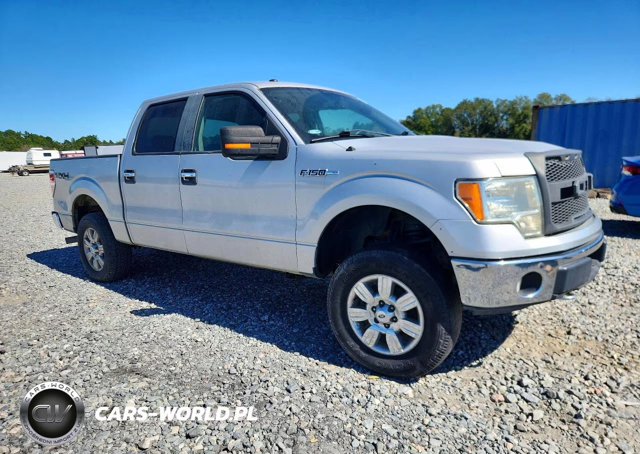 2009 Ford F150 Supercrew VIN:1FTPW14V49KC62548 - 4
