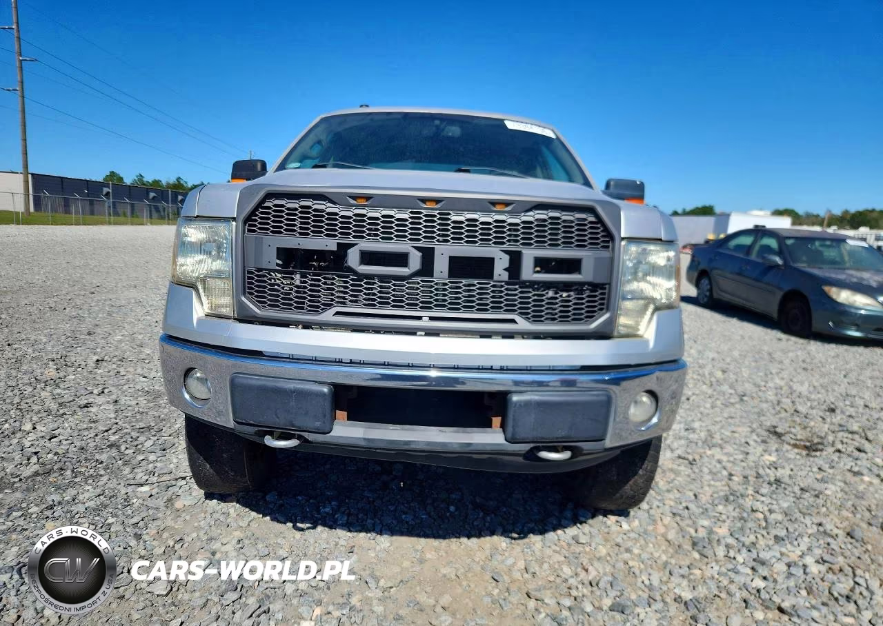 2009 Ford F150 Supercrew VIN:1FTPW14V49KC62548 - 5