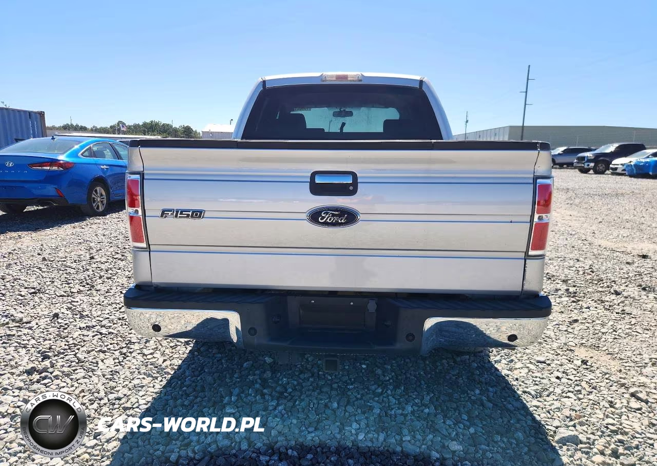 2009 Ford F150 Supercrew VIN:1FTPW14V49KC62548 - 6