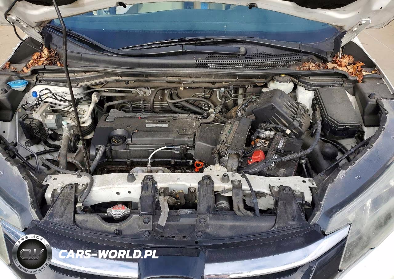 2016 Honda Cr-V Lx VIN:5J6RM4H30GL134947 - 12