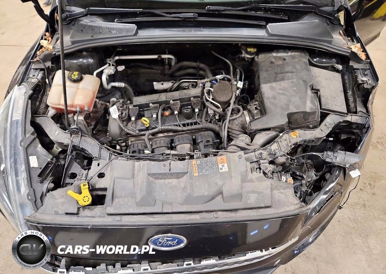 2015 Ford Focus Se VIN:1FADP3K22FL302769 - 11