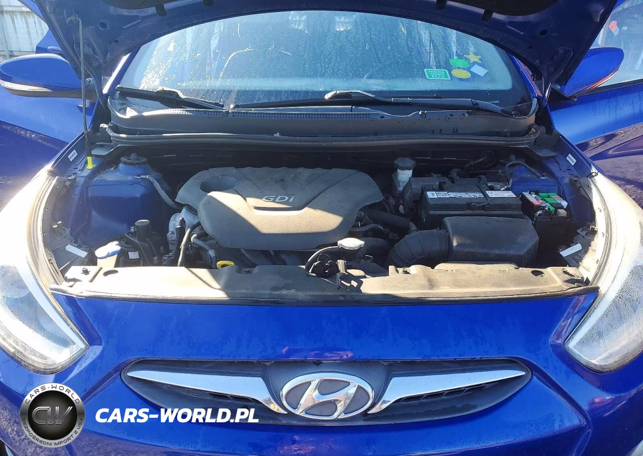 2014 Hyundai Accent Se VIN:KMHCU5AE4EU163805 - 12