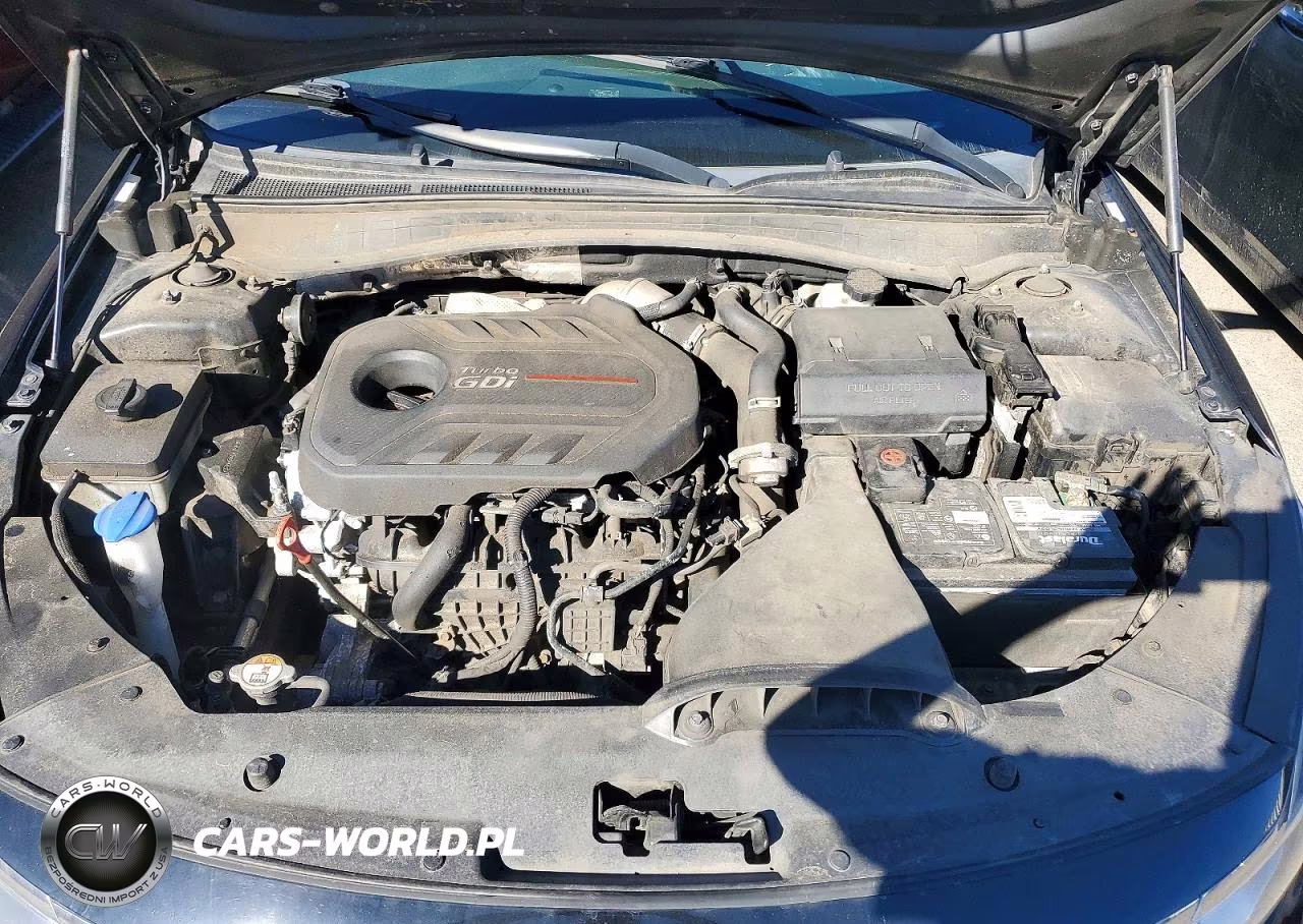 2018 Kia Optima Sxl VIN:5XXGV4L29JG245612 - 11