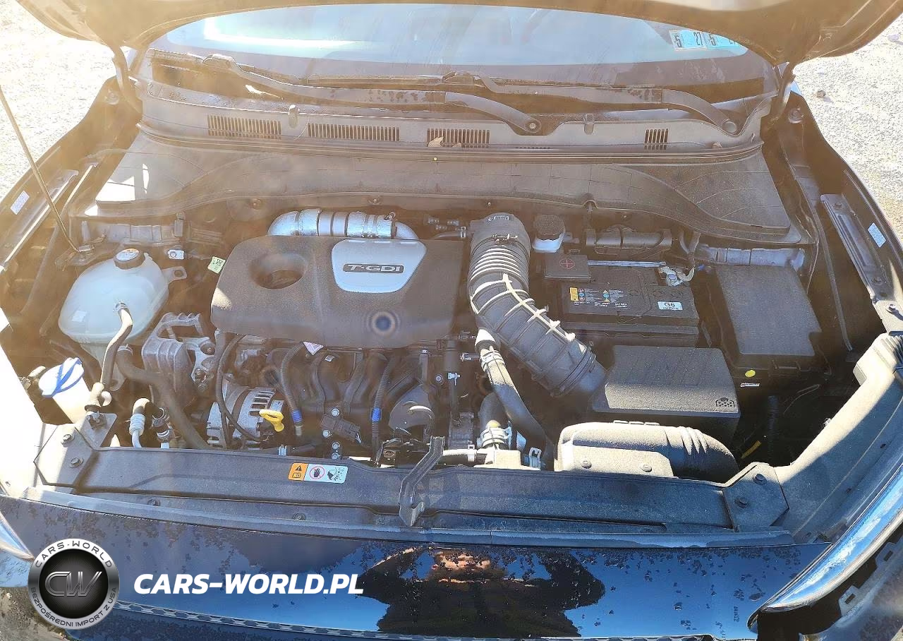 2020 Hyundai Kona Limited VIN:KM8K3CA58LU544654 - 12