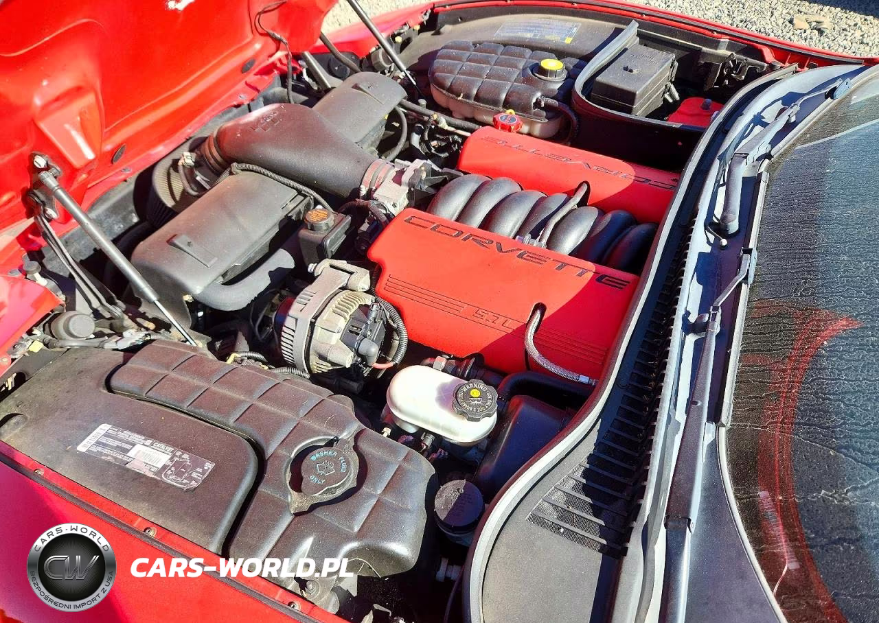 2001 Chevrolet Corvette Z06 VIN:1G1YY12SX15115217 - 11