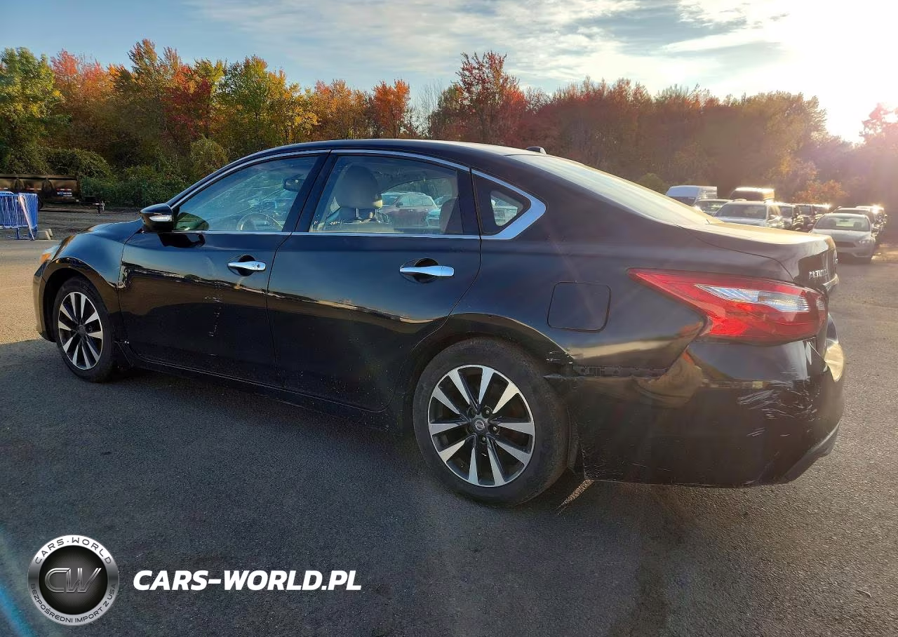 2016 Nissan Altima 2.5 VIN:1N4AL3AP0GC166476 - 2