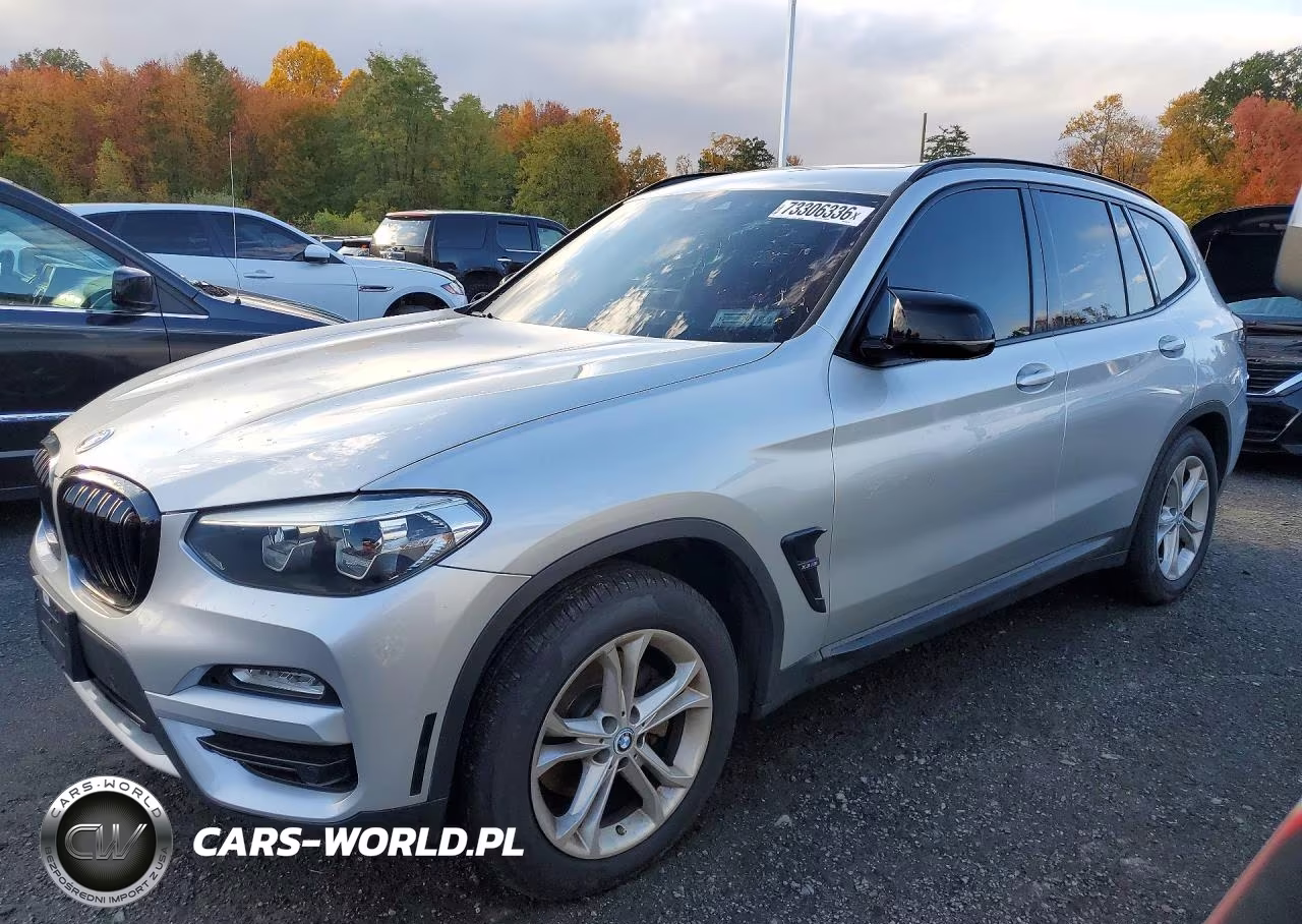 2019 BMW X3 xDrive30I VIN:5UXTR9C51KLR05104 - 1