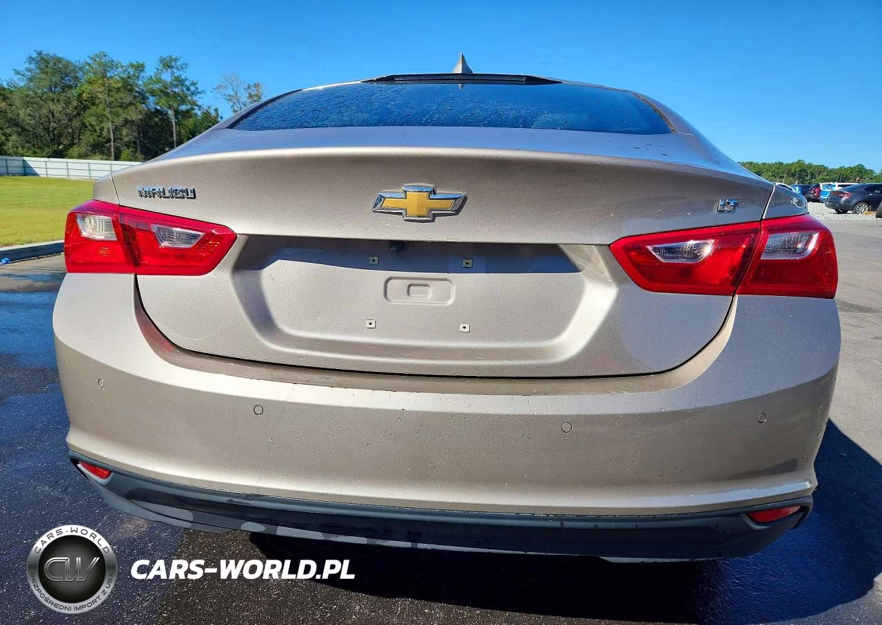 2024 Chevrolet Malibu Lt VIN:1G1ZD5ST3RF127862 - 6