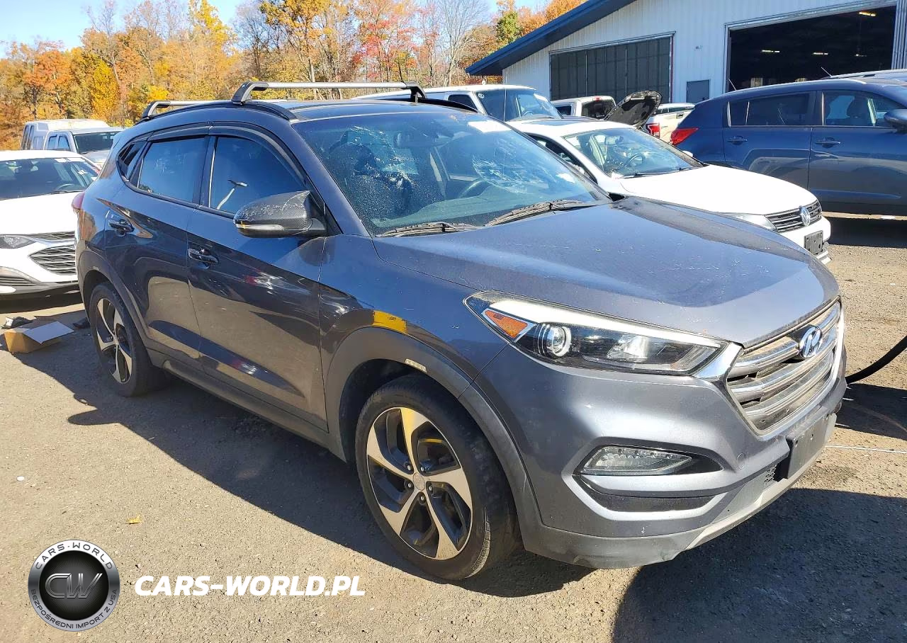 2016 Hyundai Tucson Limited VIN:KM8J3CA20GU108999 - 4