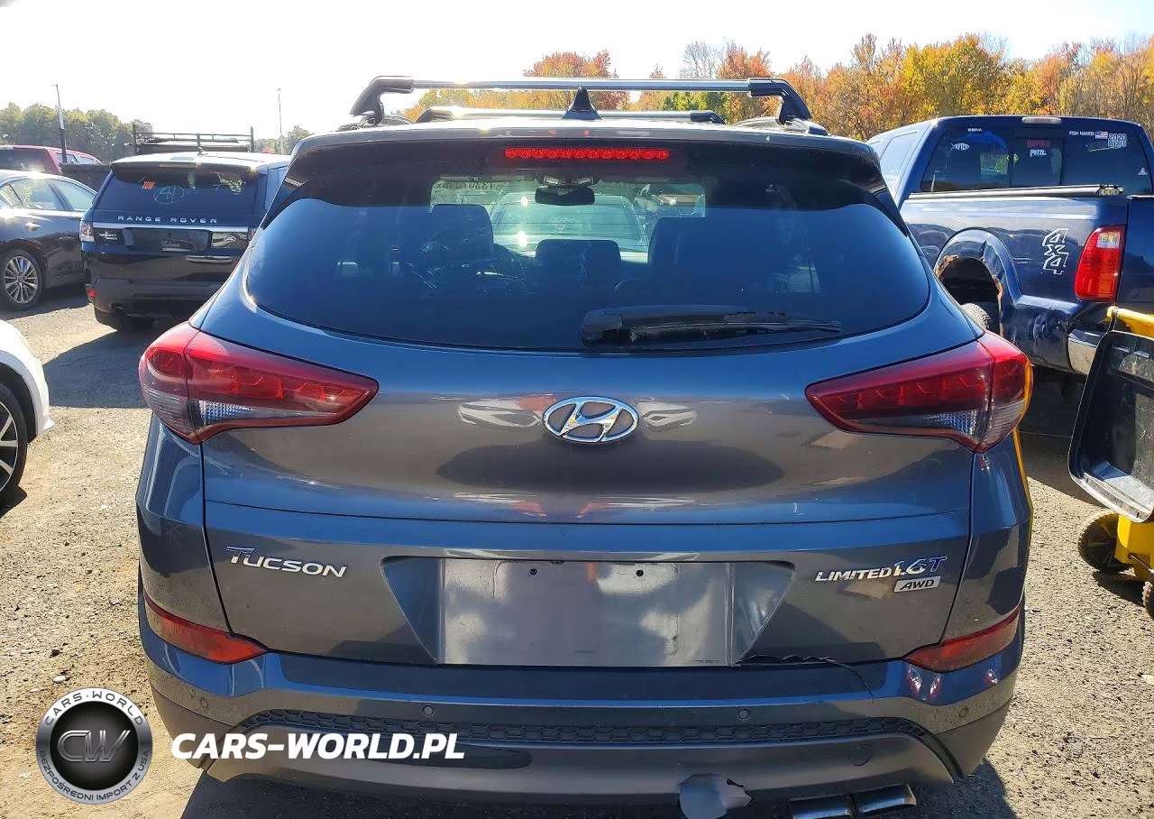 2016 Hyundai Tucson Limited VIN:KM8J3CA20GU108999 - 6
