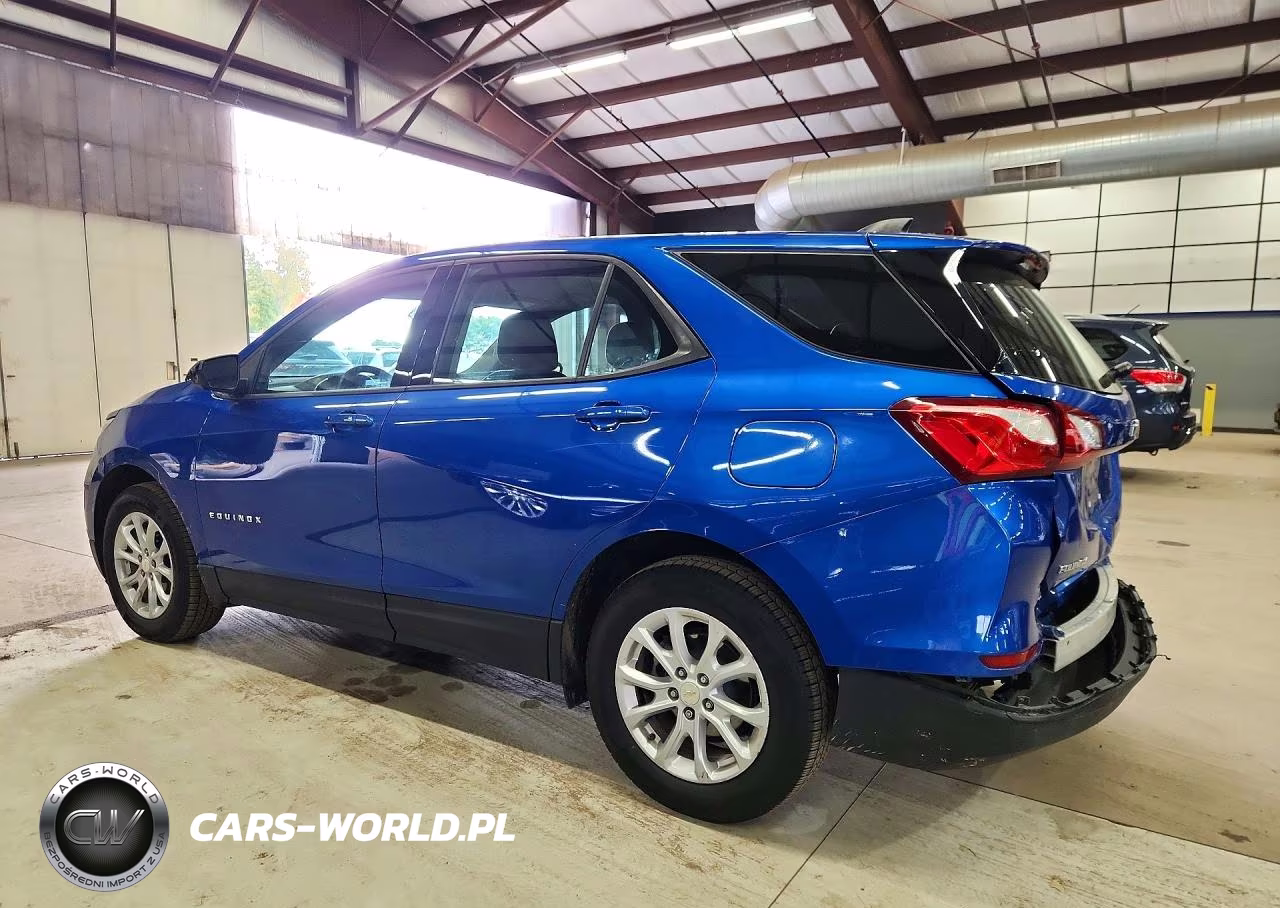 2019 Chevrolet Equinox Ls VIN:3GNAXSEV9KS559663 - 2