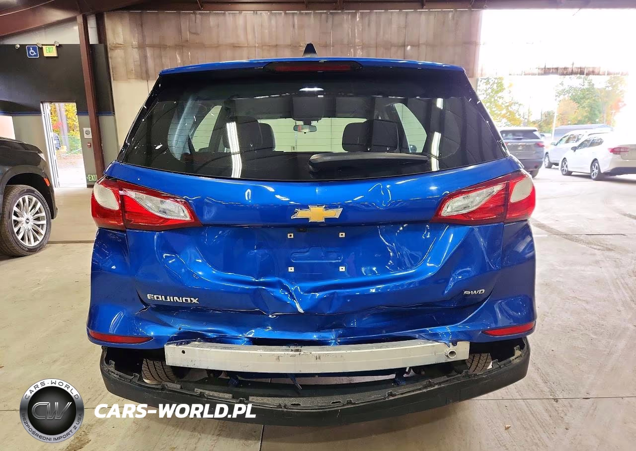 2019 Chevrolet Equinox Ls VIN:3GNAXSEV9KS559663 - 6