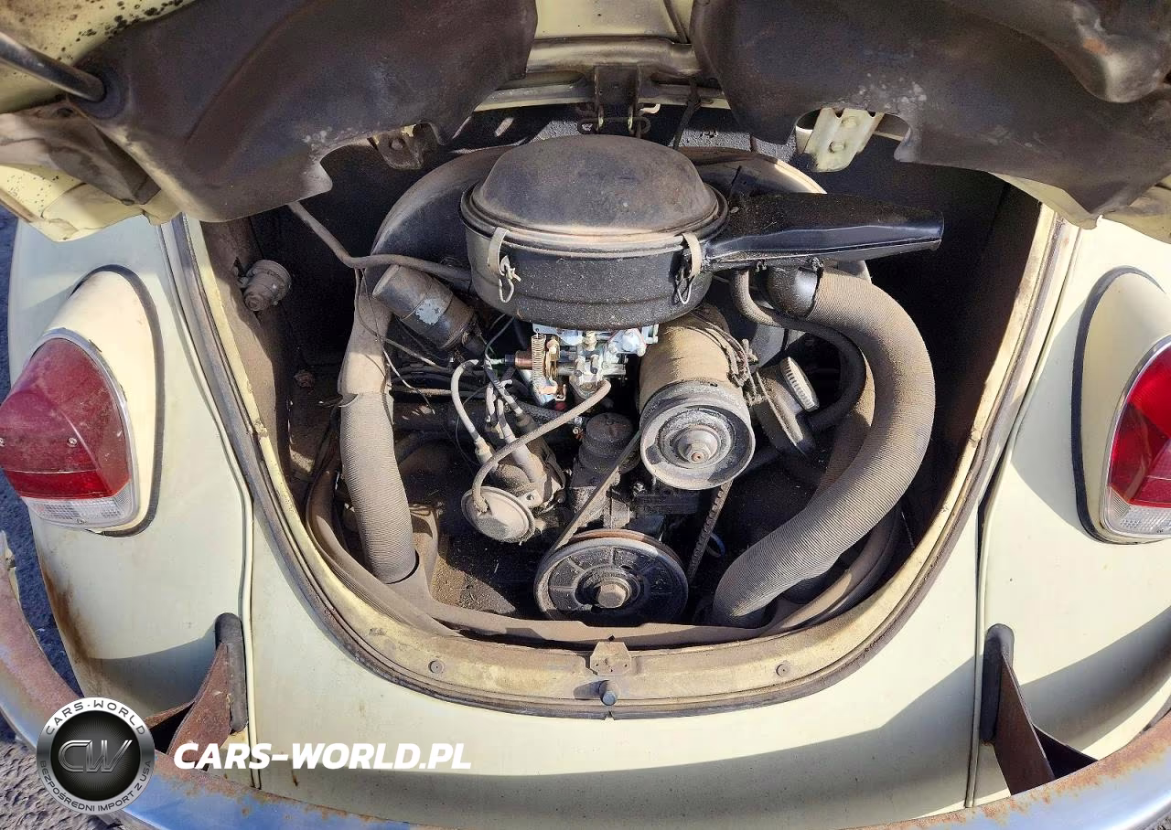1973 Volkswagen Beetle VIN:1102686218 - 11