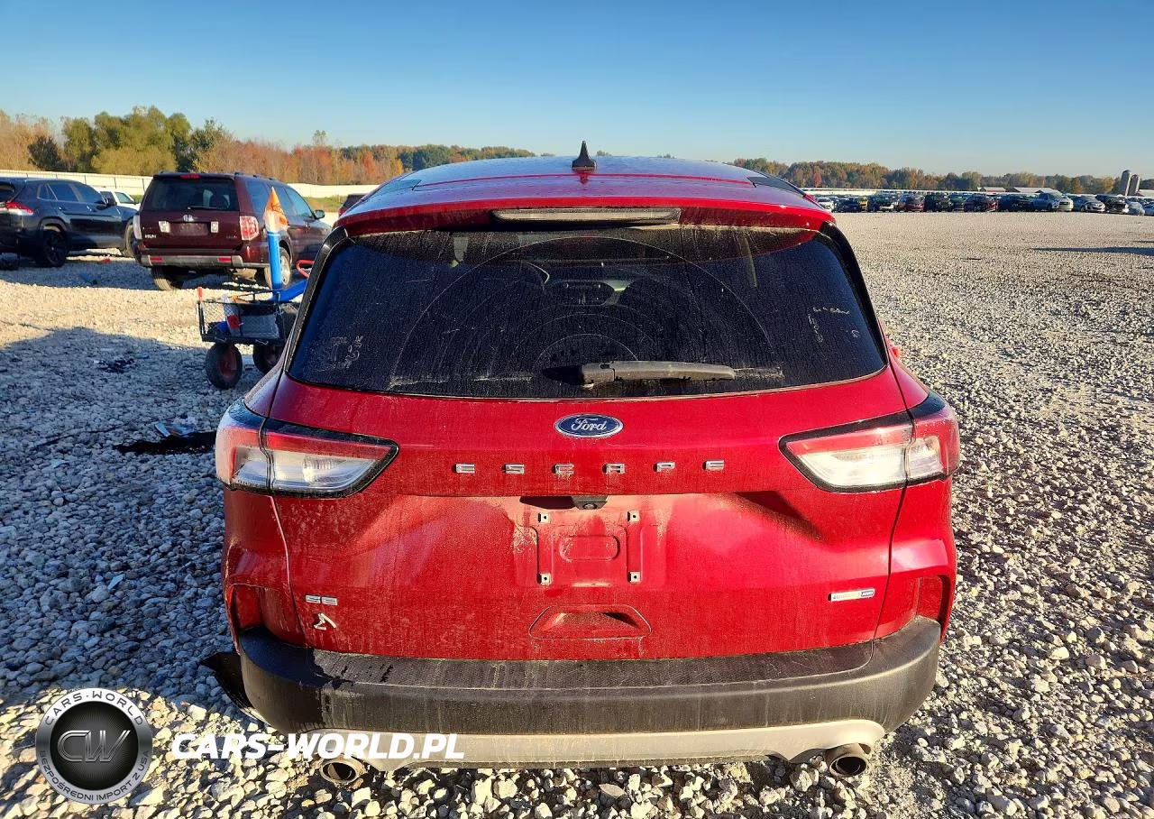 2020 Ford Escape Se VIN:1FMCU9G66LUB65477 - 6