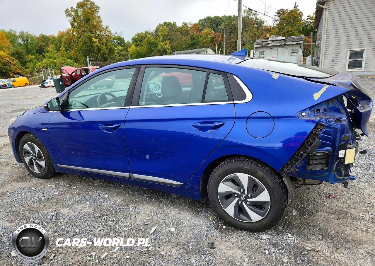 2019 Hyundai Ioniq Sel VIN:KMHC75LC4KU139731 - 2