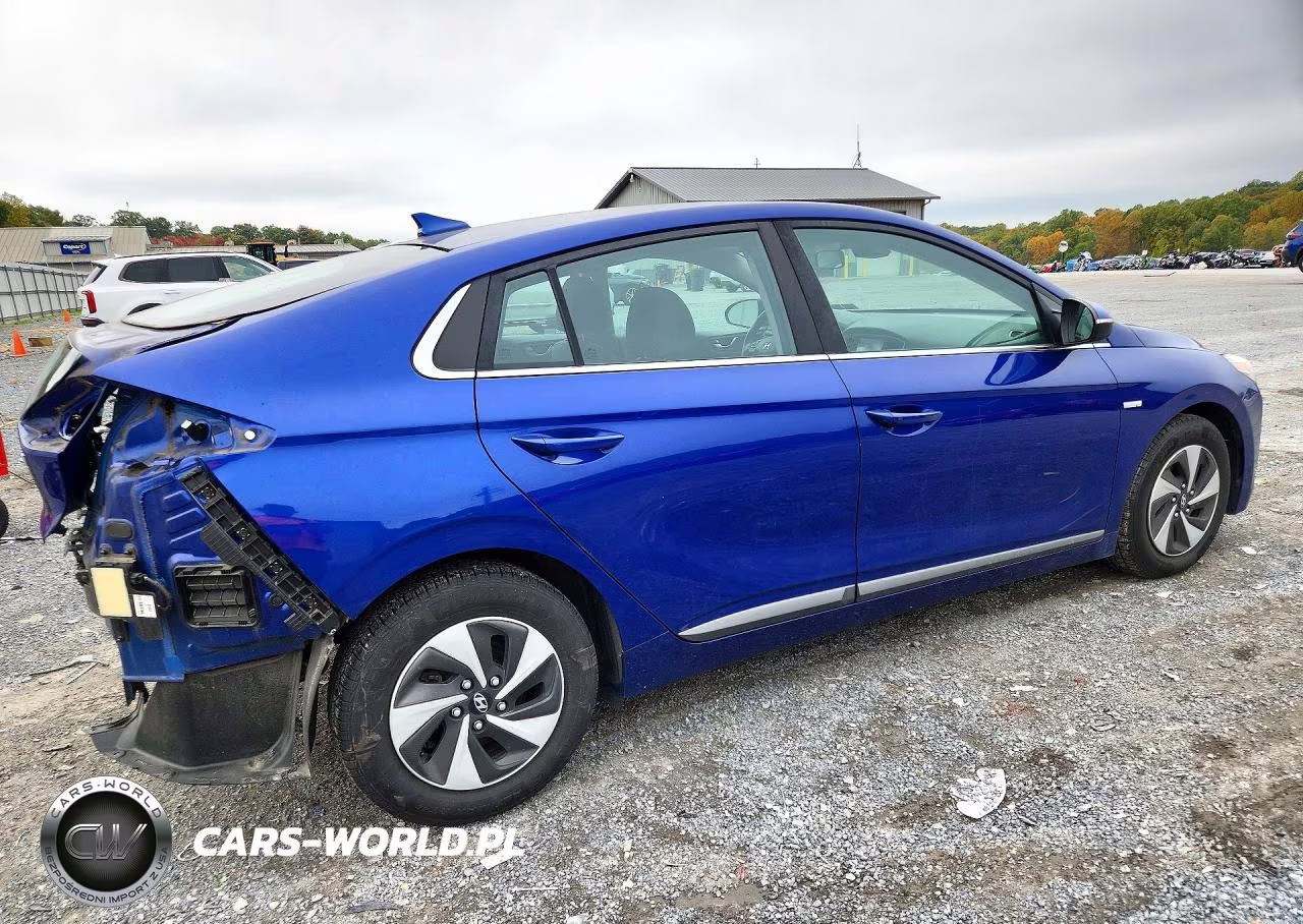 2019 Hyundai Ioniq Sel VIN:KMHC75LC4KU139731 - 3