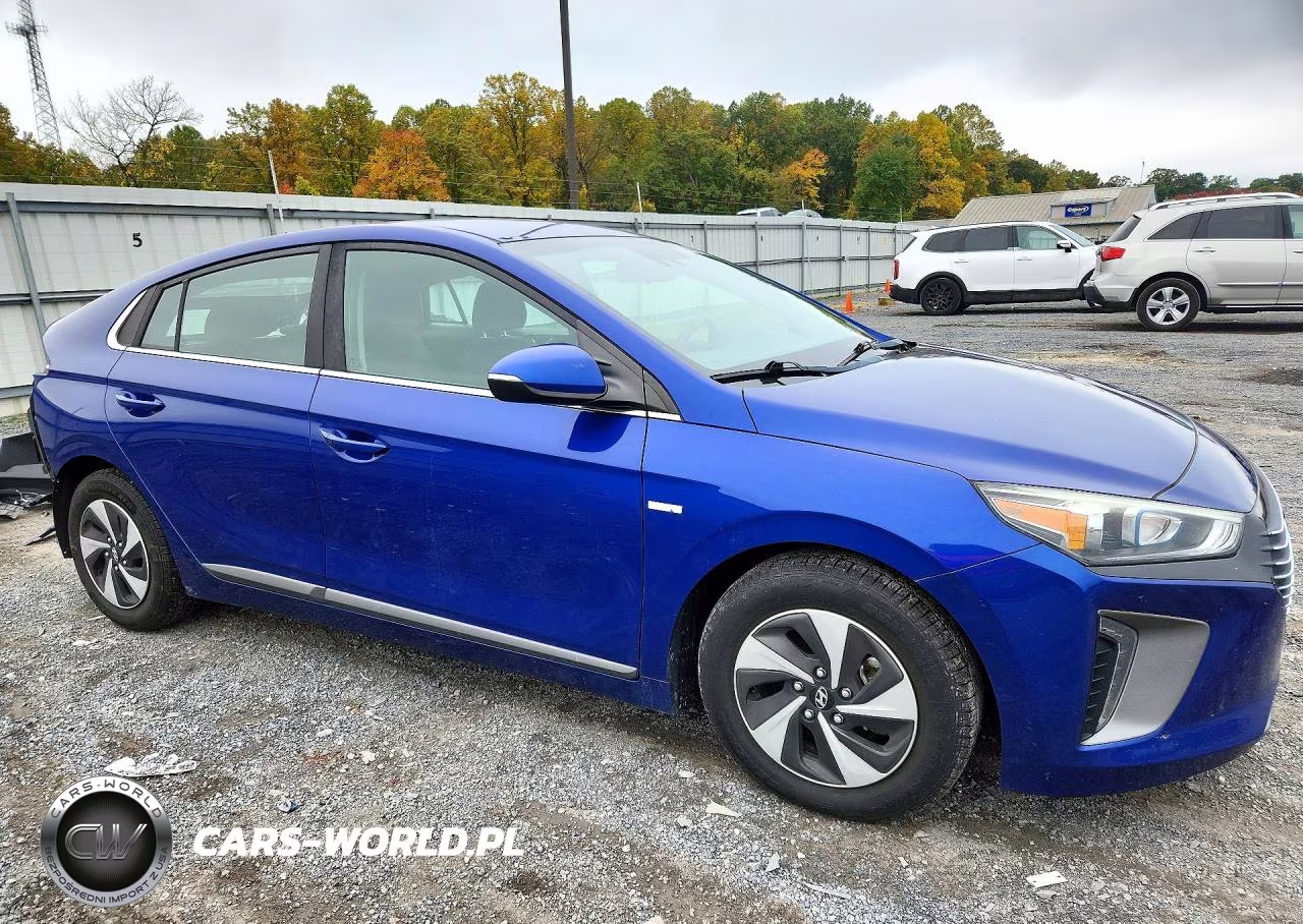 2019 Hyundai Ioniq Sel VIN:KMHC75LC4KU139731 - 4