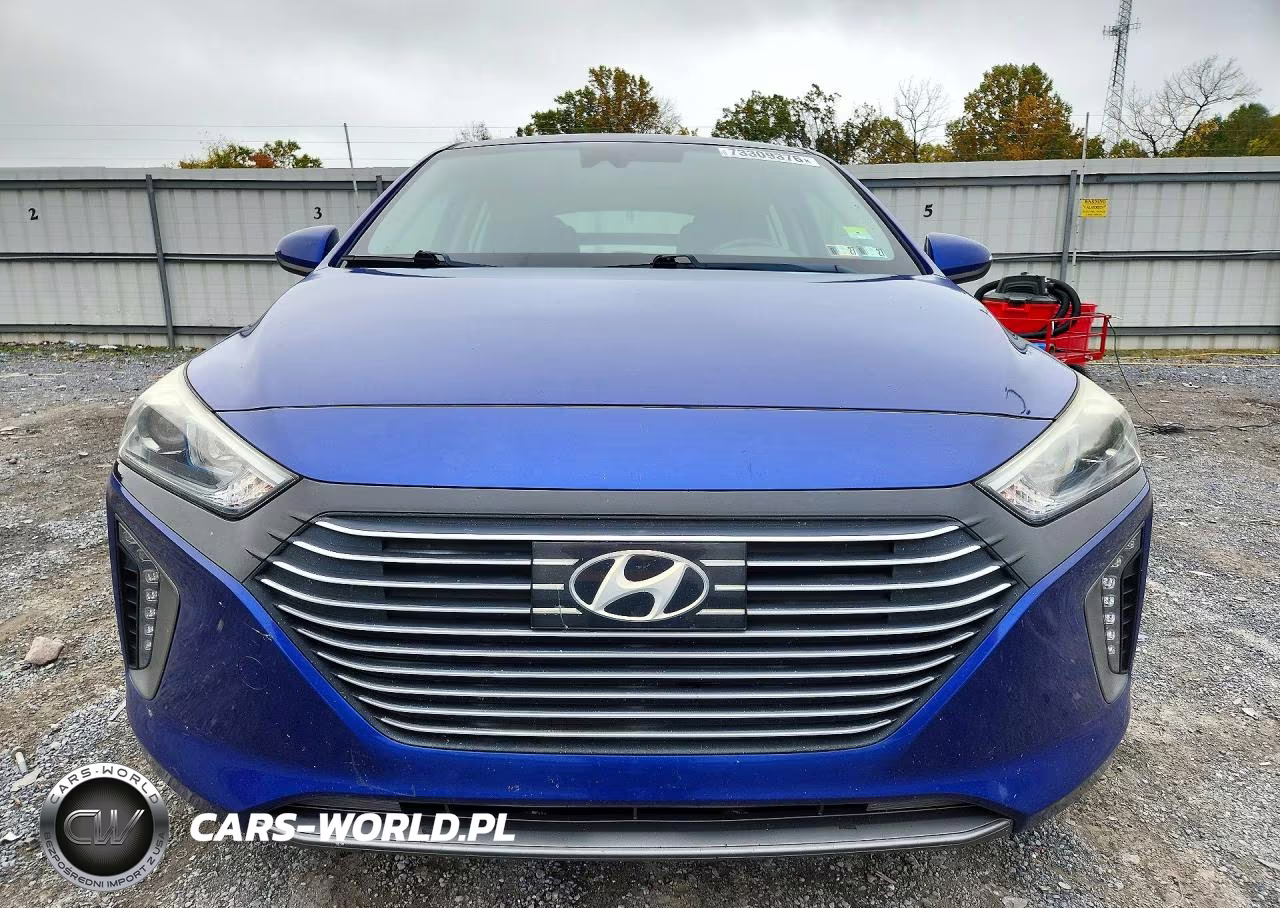 2019 Hyundai Ioniq Sel VIN:KMHC75LC4KU139731 - 5