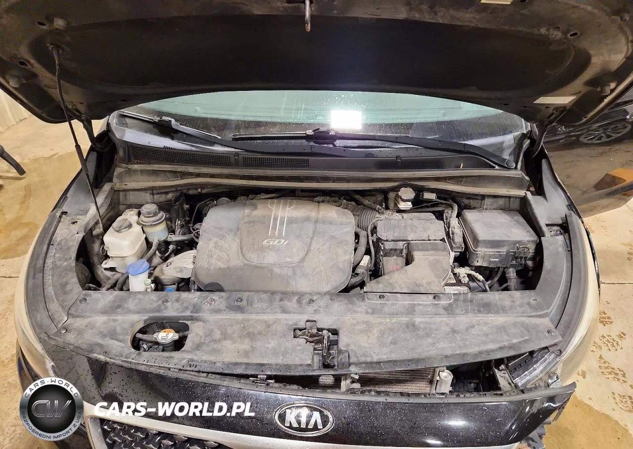 2015 Kia Sedona Ex VIN:KNDMC5C10F6020880 - 12
