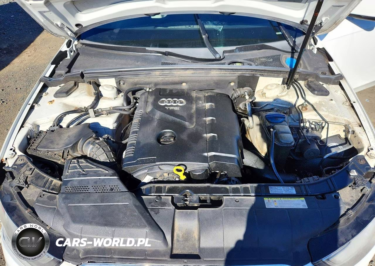 2013 Audi A4 Premium Plus VIN:WAUFFAFL2DN006839 - 11