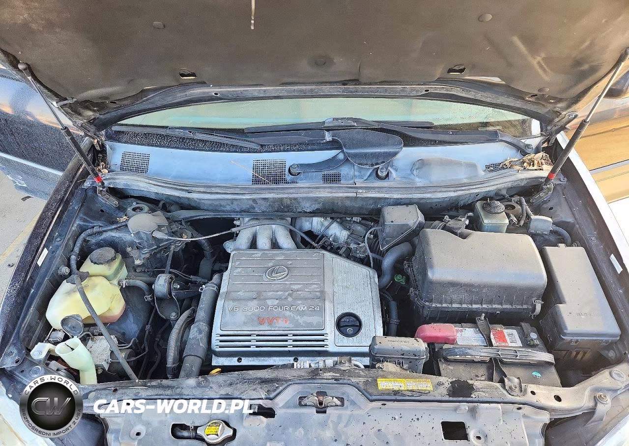 1999 Lexus Rx 300 VIN:JT6HF10U6X0090573 - 12
