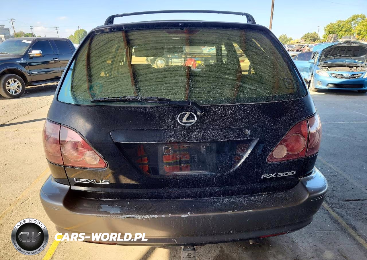 1999 Lexus Rx 300 VIN:JT6HF10U6X0090573 - 6