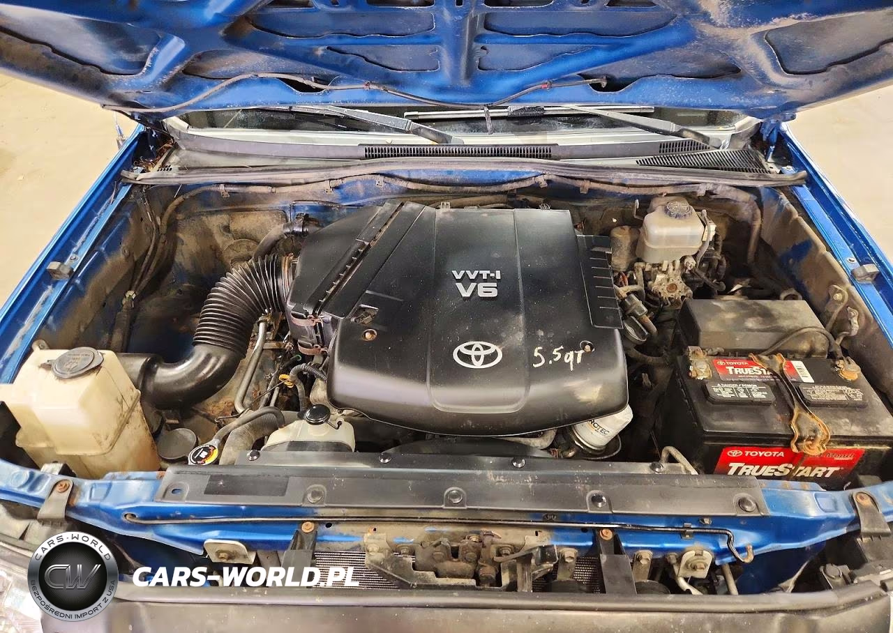 2010 Toyota Tacoma V6 VIN:5TELU4EN3AZ713148 - 11