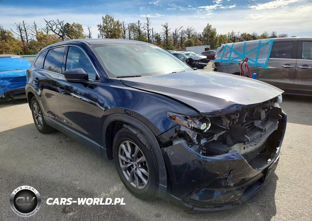 2020 Mazda Cx-9 Touring VIN:JM3TCBCY0L0412139 - 4