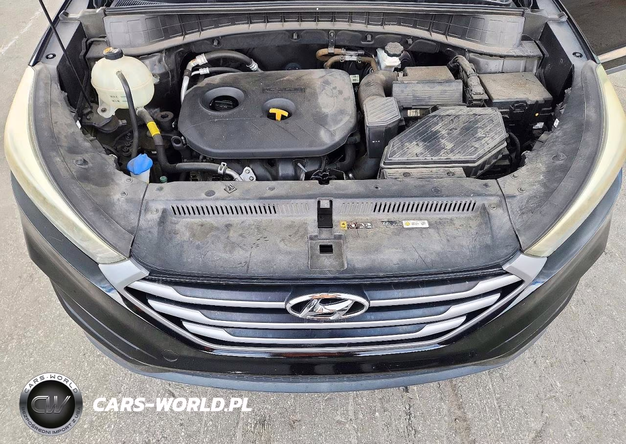 2018 Hyundai Tucson Sel Plus VIN:KM8J3CA49JU614257 - 12